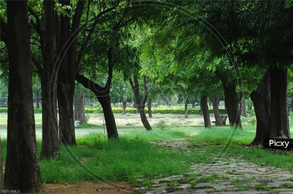 Weber BLVD, NAPLES FL 34117