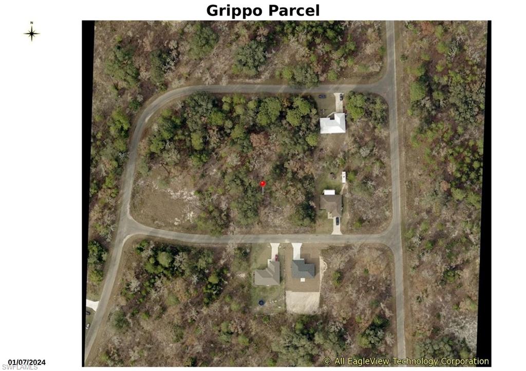 000 Guava Place Pass, OCKLAWAHA FL 32179