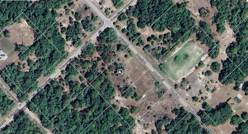 9564 N Cacalia DR, CRYSTAL RIVER FL 34428