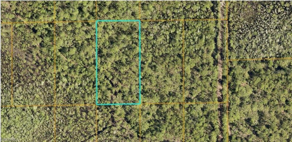 6128-01-13-0030 Inaccessible TRCE, DE LAND FL 32724