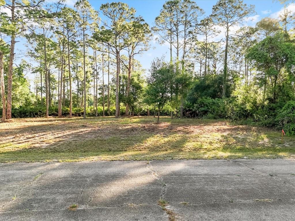 107 Rosemont PL, LABELLE FL 33935