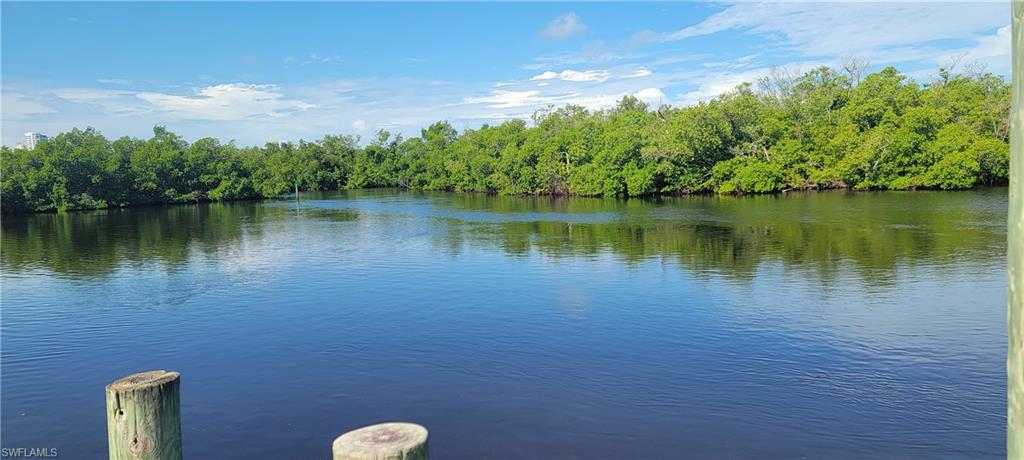 4749 Tahiti DR, BONITA SPRINGS FL 34134