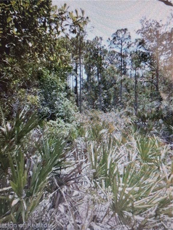 3010 Brownwood DR, SEBRING FL 33875