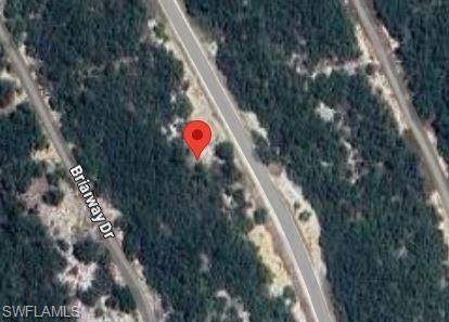 220 Hopedale DR, LAKE PLACID FL 33852