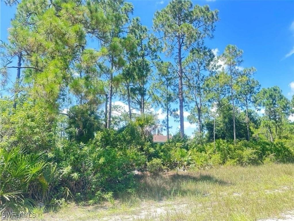 1005 W 18th ST, LEHIGH ACRES FL 33972