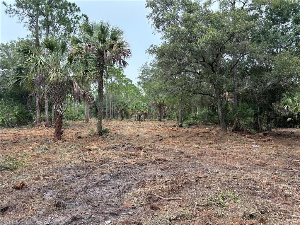 701 Tampa AVE, OTHER FL 33440