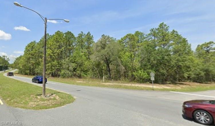 1511 W Donner DR, CITRUS SPRINGS FL 34434