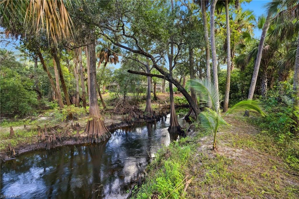 12025 Carpenter LN, BONITA SPRINGS FL 34135