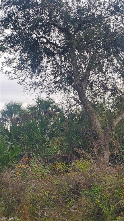 315 IVANHOE AVE Banyan Village