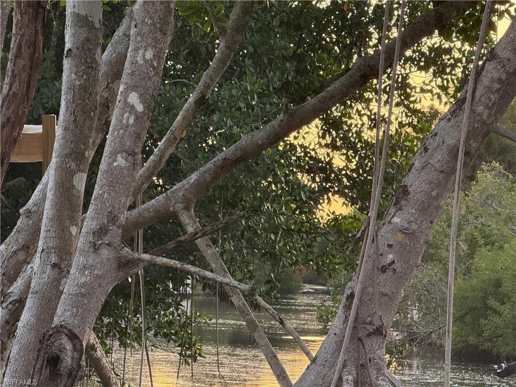 13407 Snook CIR, NAPLES FL 34114