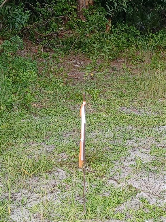 2113 Della DR, NAPLES FL 34117