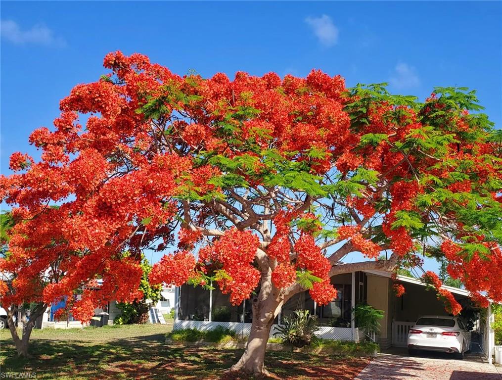 26257 Queen Mary LN, BONITA SPRINGS FL 34135