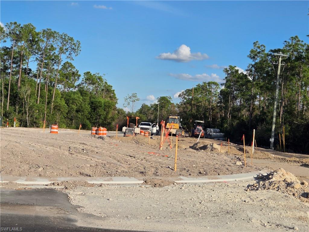 13541 E Terry ST, BONITA SPRINGS FL 34135