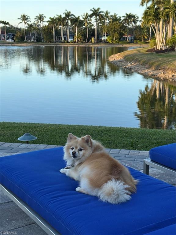 4437 Southern Breeze DR, NAPLES FL 34114