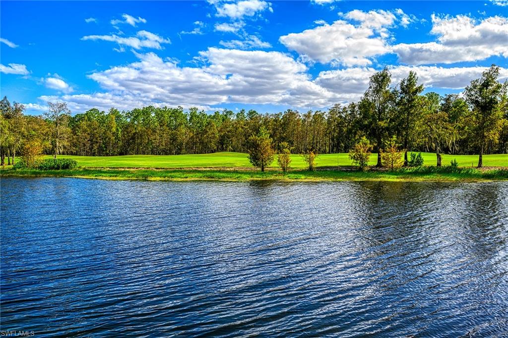 8620 Cedar Hammock CIR # 1121, NAPLES FL 34112