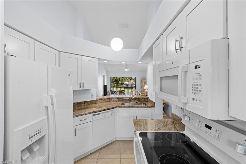 121 Wading Bird CIR B201