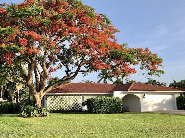 87 Burning Tree DR
