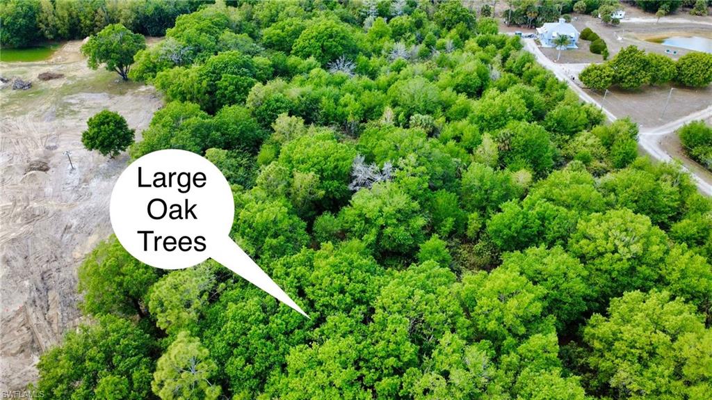 19850 Burgundy Farms RD