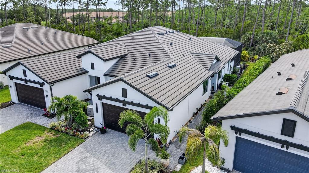 14628 Kingfisher LOOP