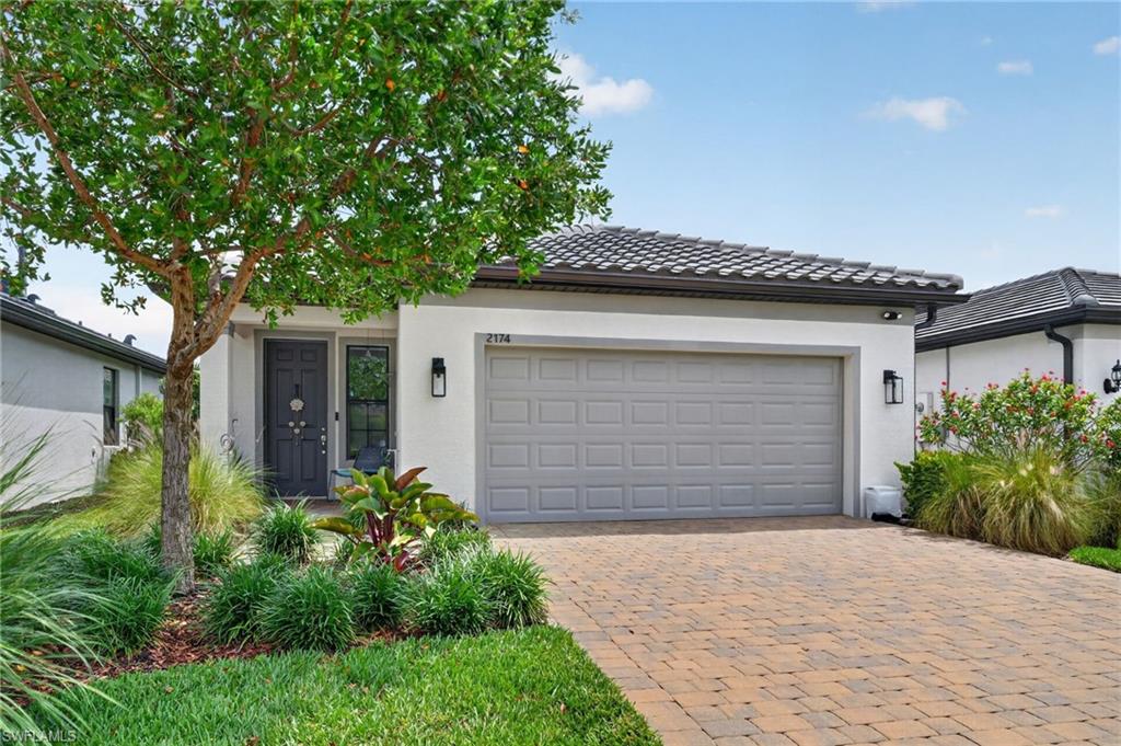 2174 Yellowfin CIR