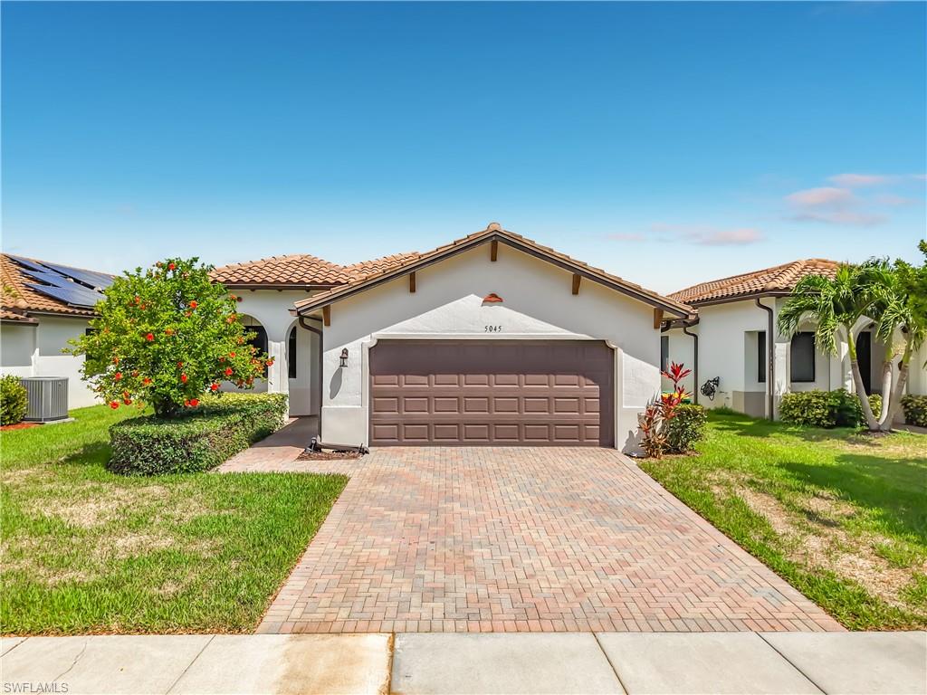 5045 Arancia LN
