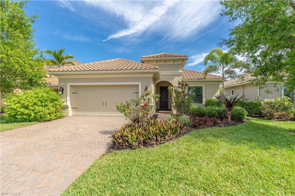 3549 Canopy CIR