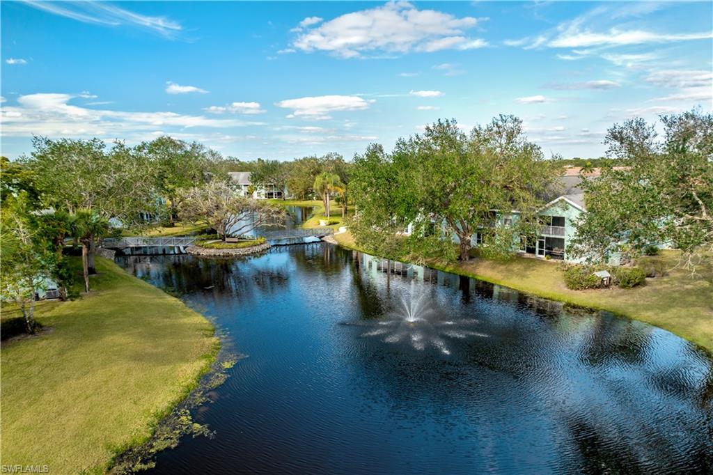 137 Wading Bird CIR F101