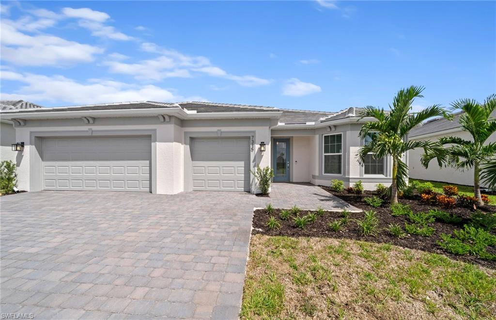 7339 Blue Salvia DR