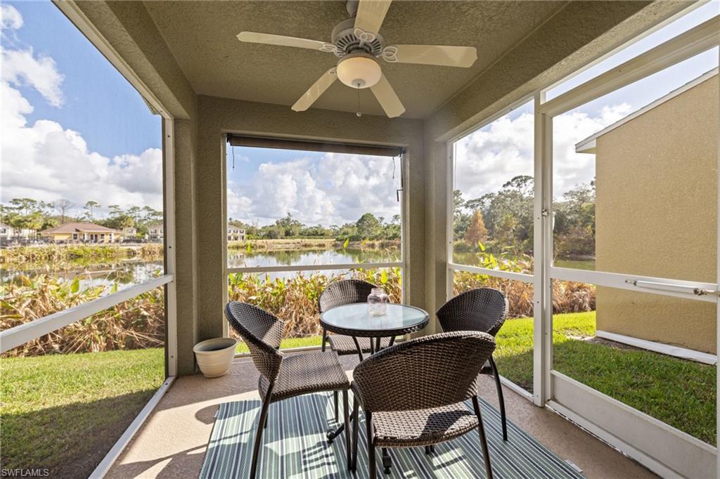 15120 Piping Plover CT 102