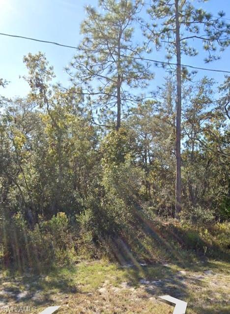 441 RAINBOW CT