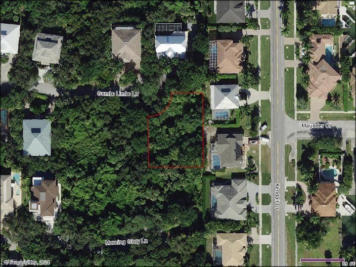 395 Gumbo Limbo LN